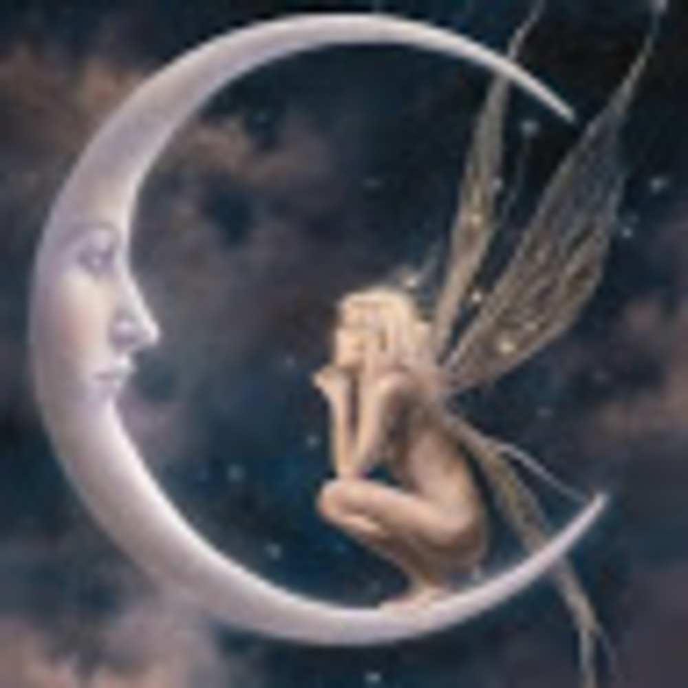 Meet your Posher, Meadow